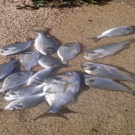 By The Sea - Nina & Kate